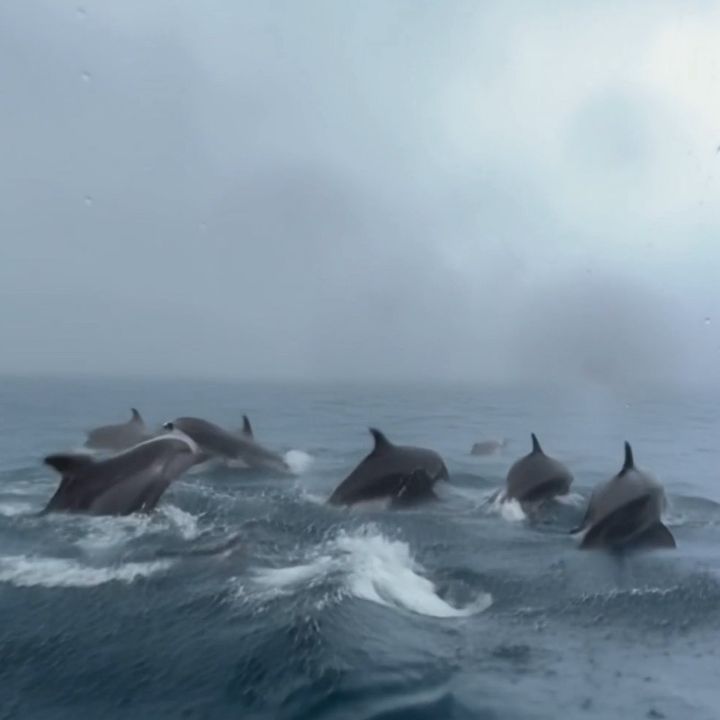 m0tion0ftheOcean