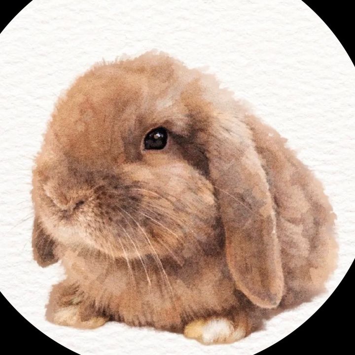 buoy & tay 👩🏼‍💻🐰🥗⭐️