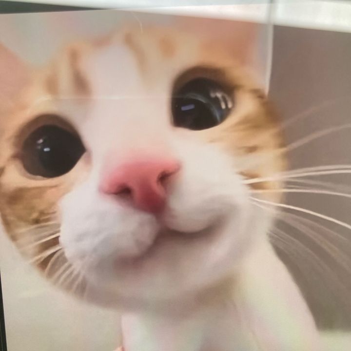 mojnk43