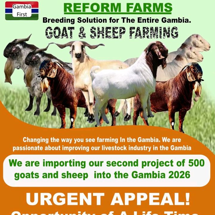 reform farms