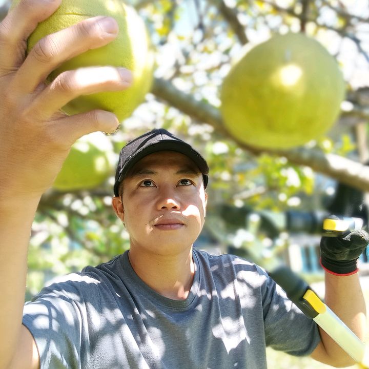 Bเบิร์ด รีวิว