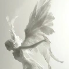 soAngelicle