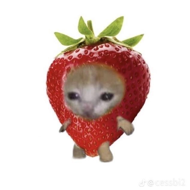 miereview🧸