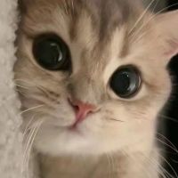 nohqg6