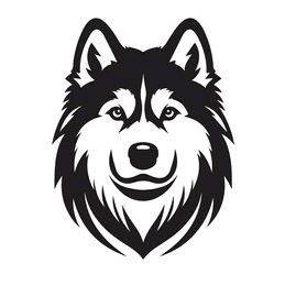 TheHuskyShow