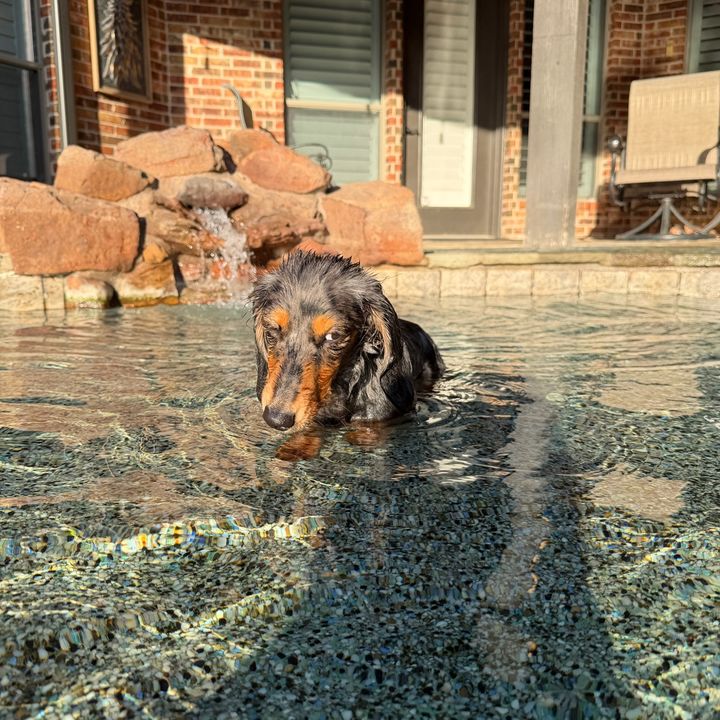 BlazeTheWeenie