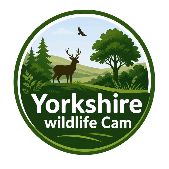 Yorkshire Wildlife Cam