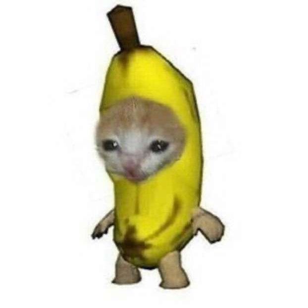 Kitersemg