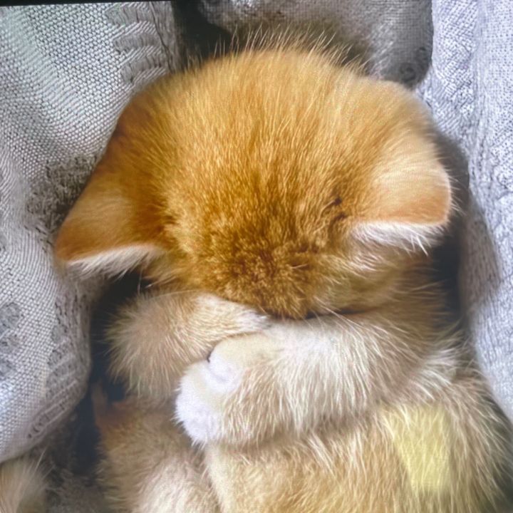 Xiumao