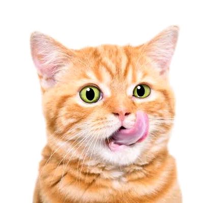 𝕎𝕒𝕟𝕟𝕟
