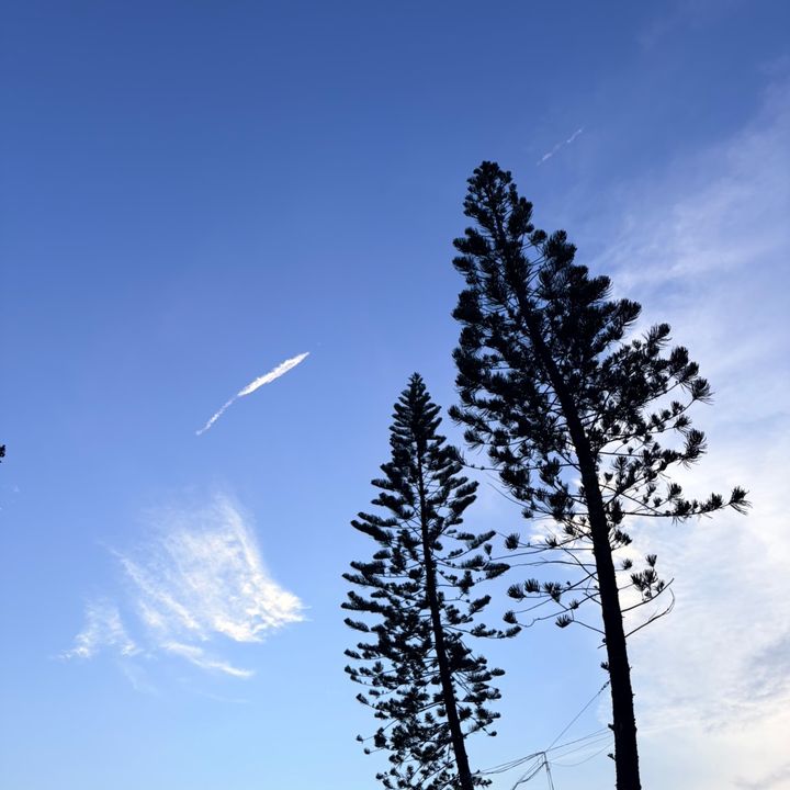 Nova