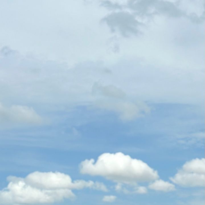 kinhdoanh