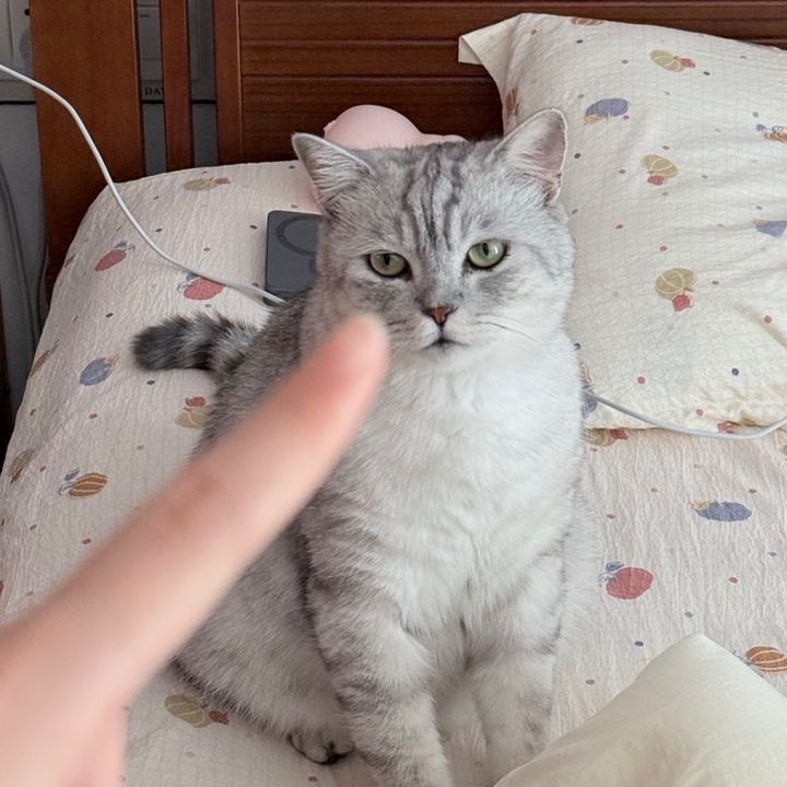 mimi