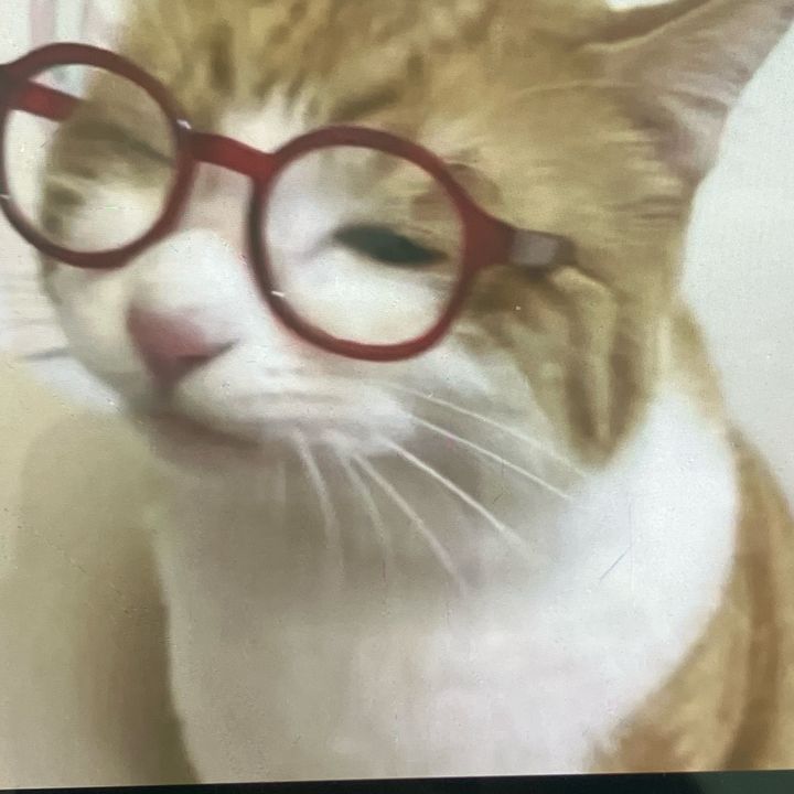 mia