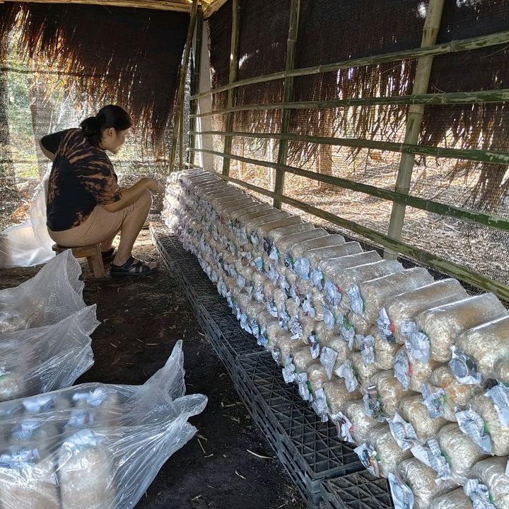 แม่บ้านสายเกษตร