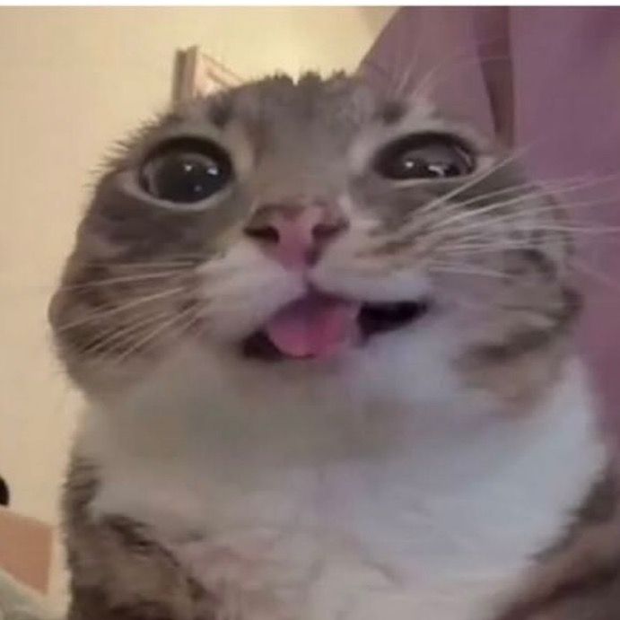 Buồn nhất TikTok