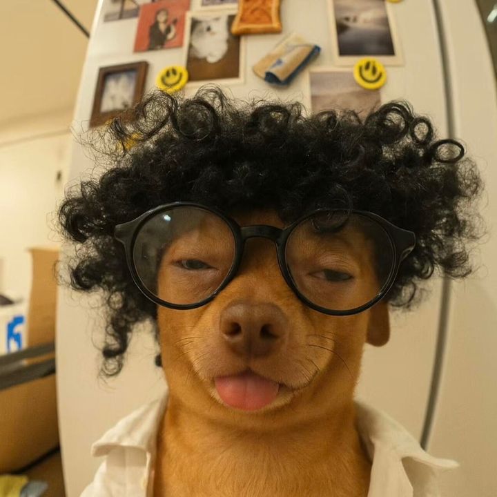 xiaojuyouyi