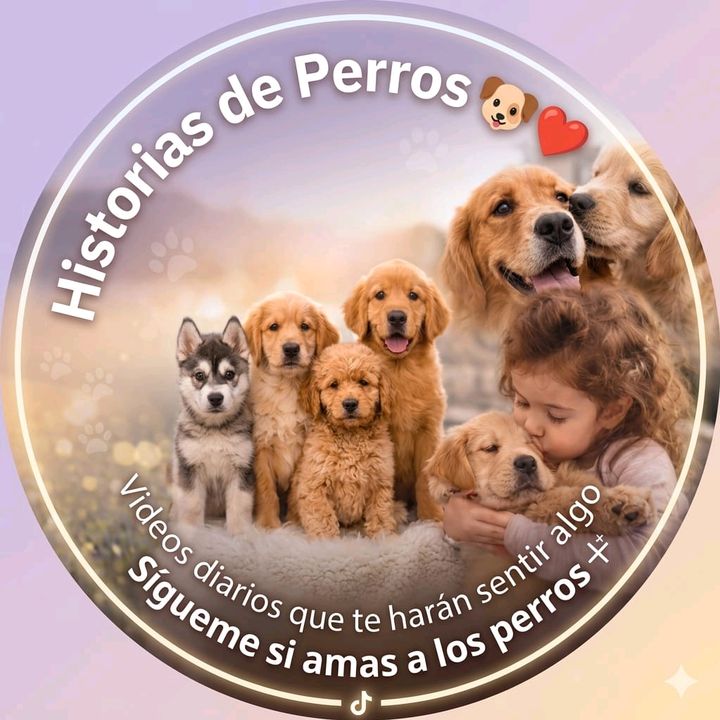 Huellas que Curan🐶| Historias