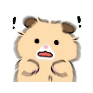 user7765092194953