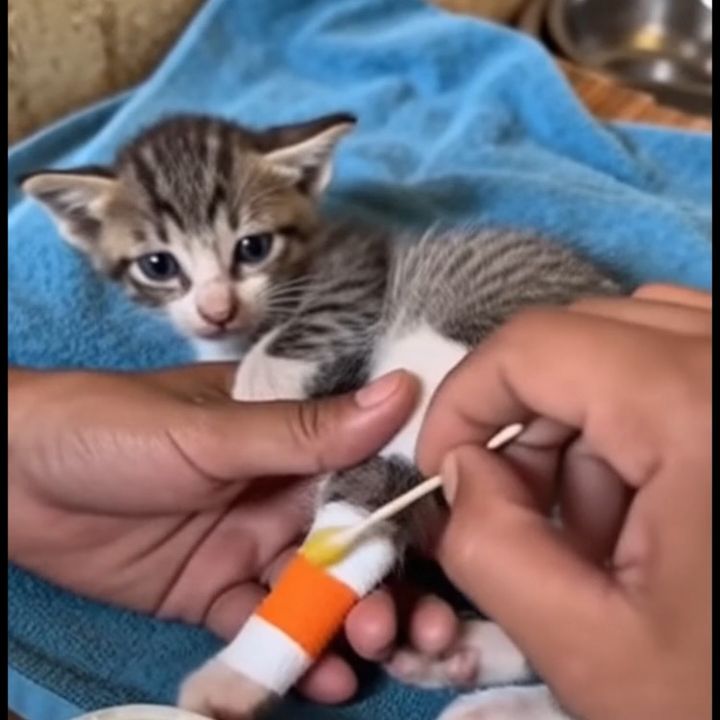 Niki