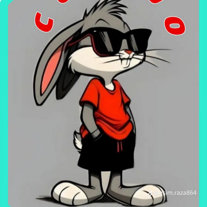 🐇🥕𝕮𝖔𝖓𝖊𝖏𝖔🥕🐇
