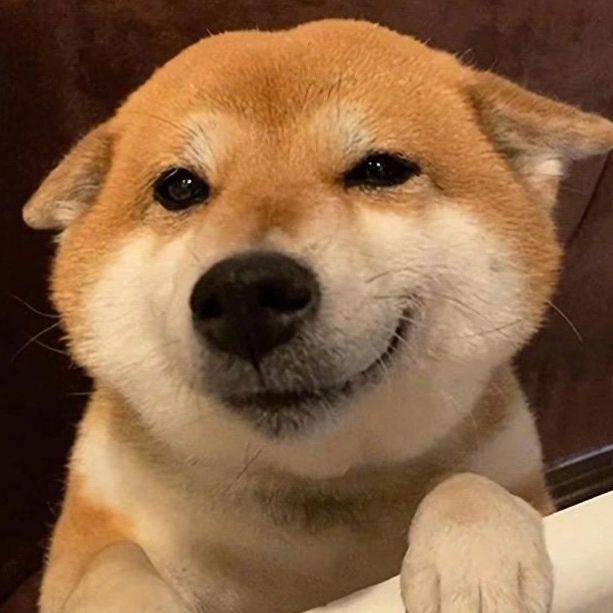 davidlovedog0