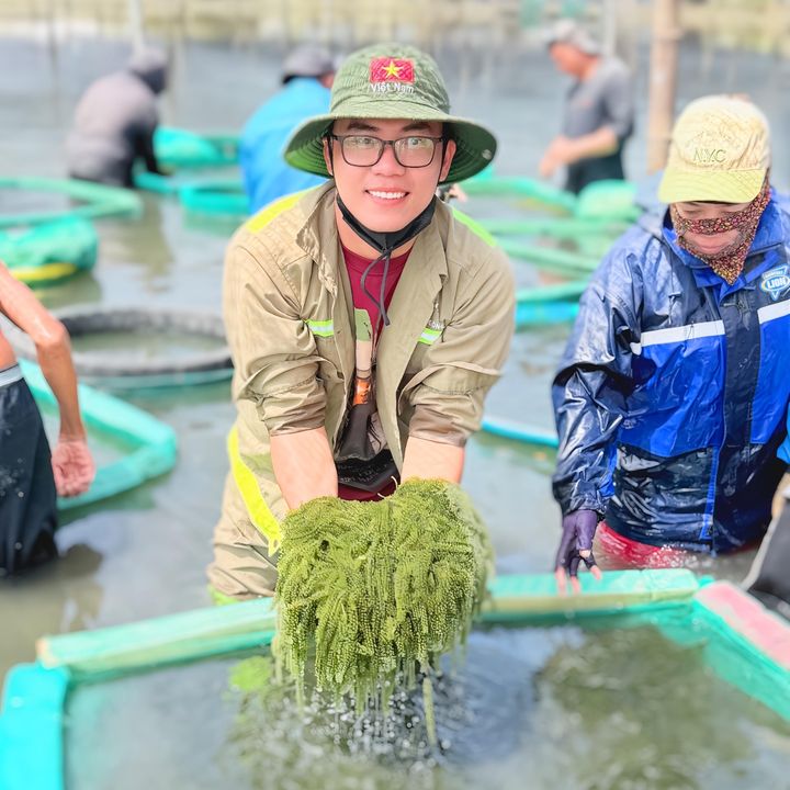 Rong Nho Ninh Hoà