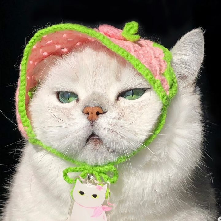 leonexmi0mi