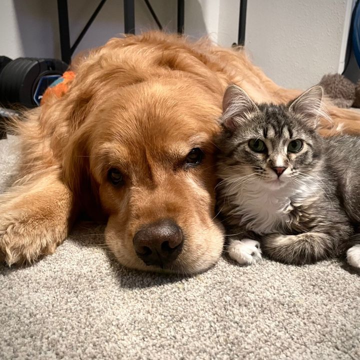 tuckerandrorystories