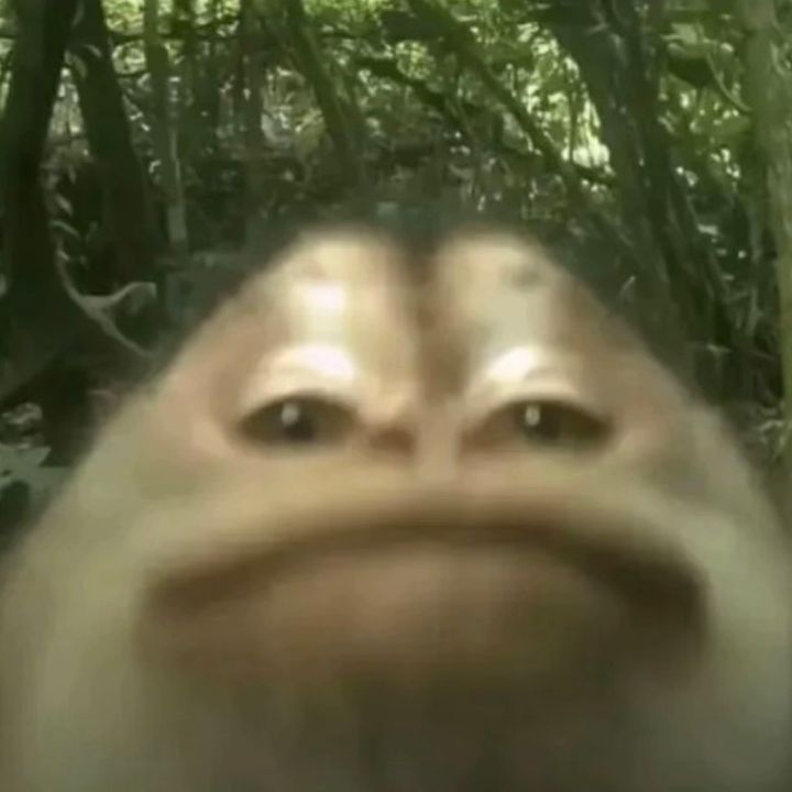 dooz