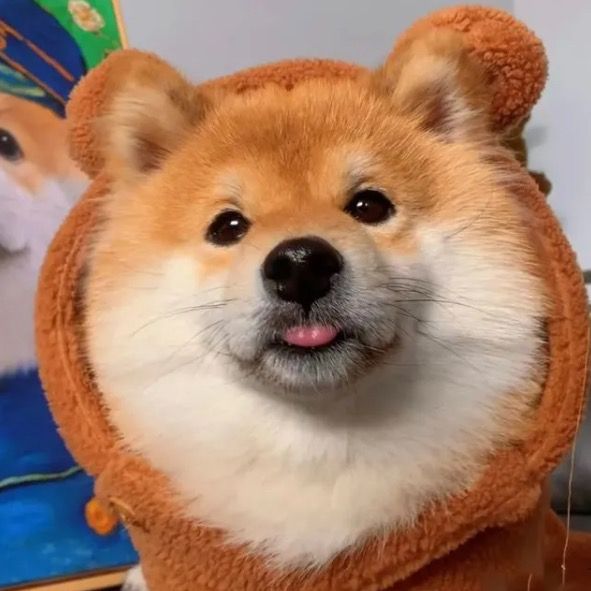 Urfhin