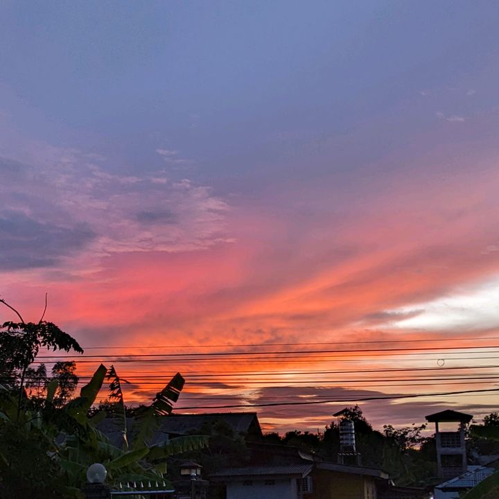 SofeeBerjaya