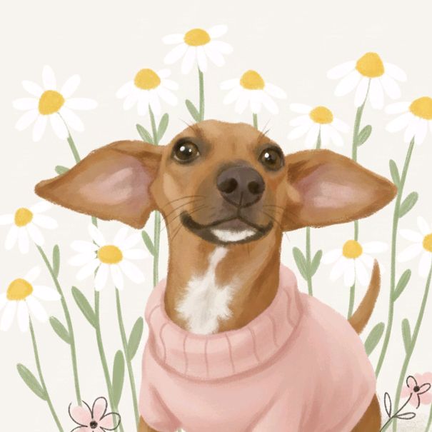 Pinkita⭐