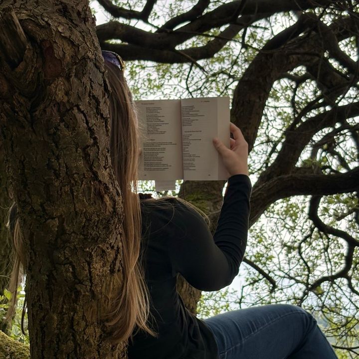 Jamie-Lei 📚 ✨ ❤️