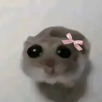Tiny Weird Things