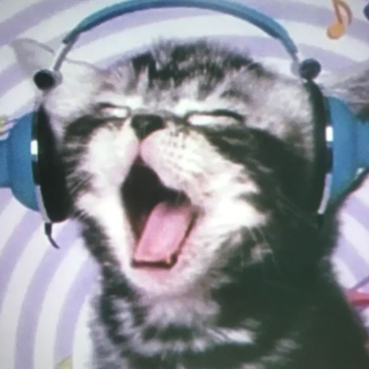 gutbsbuemhd