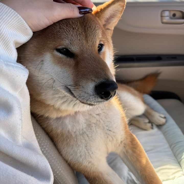 たろうの日常
