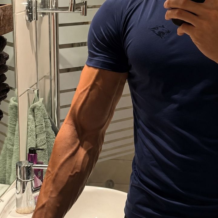 stjepan.fit