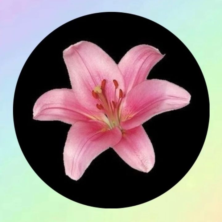 .: ꙳୨୧⊱👑𝒦𝑒𝒾𝓁𝓎⚡⊰୨୧٭
