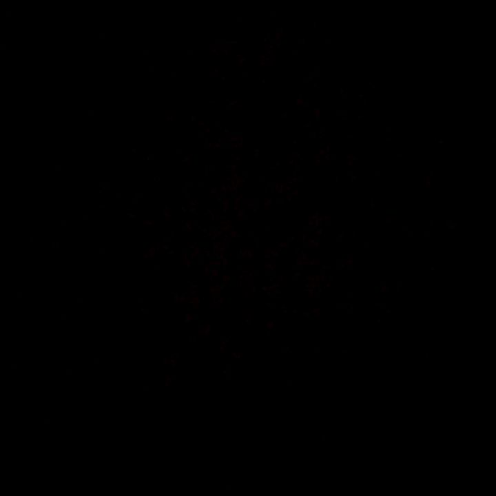 Name