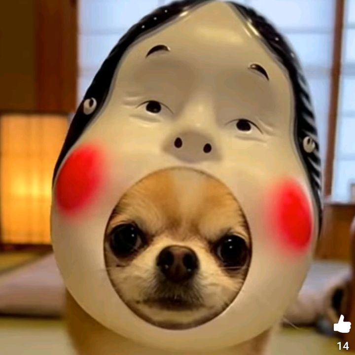 1回だけ見て👀