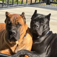 Kane & Stormie