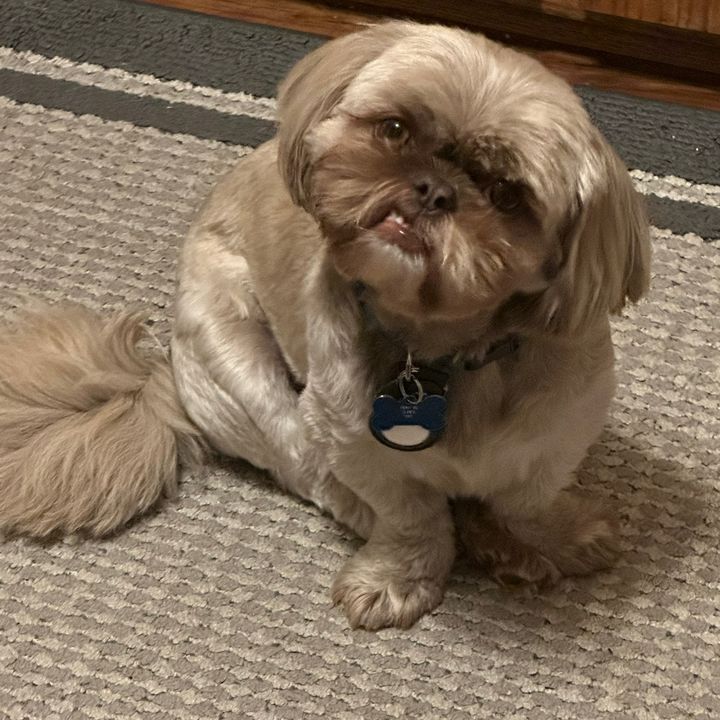 dontbeadicktedd