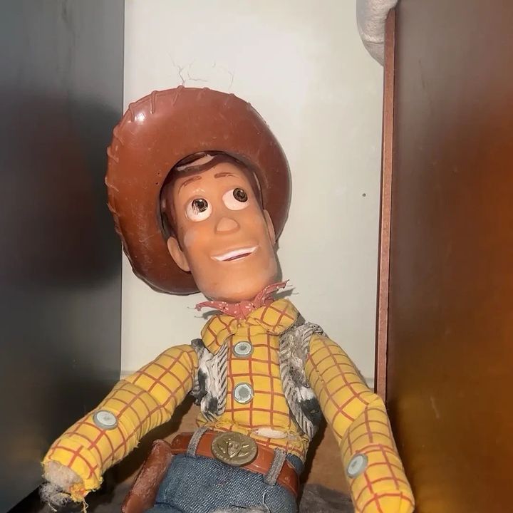 Woody🎃