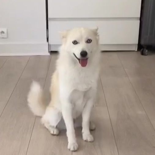 ʸᵘᵏⁱ:𝖣