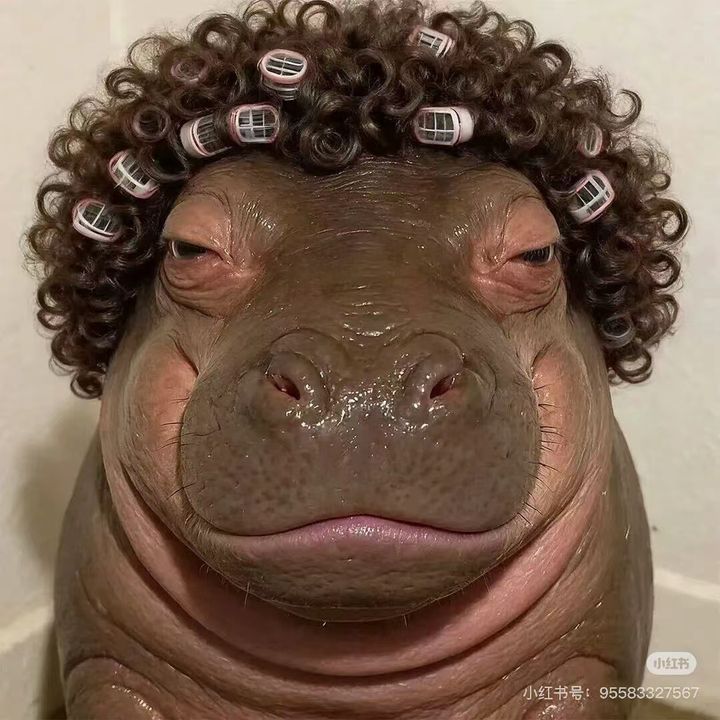 Tim