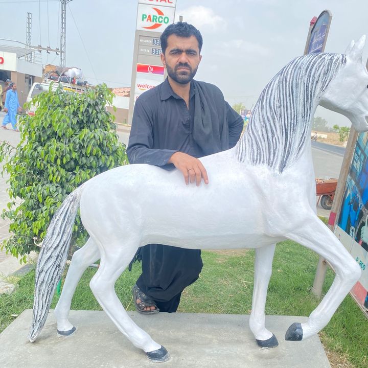 Hasnain khan Taem 🌺🎞️