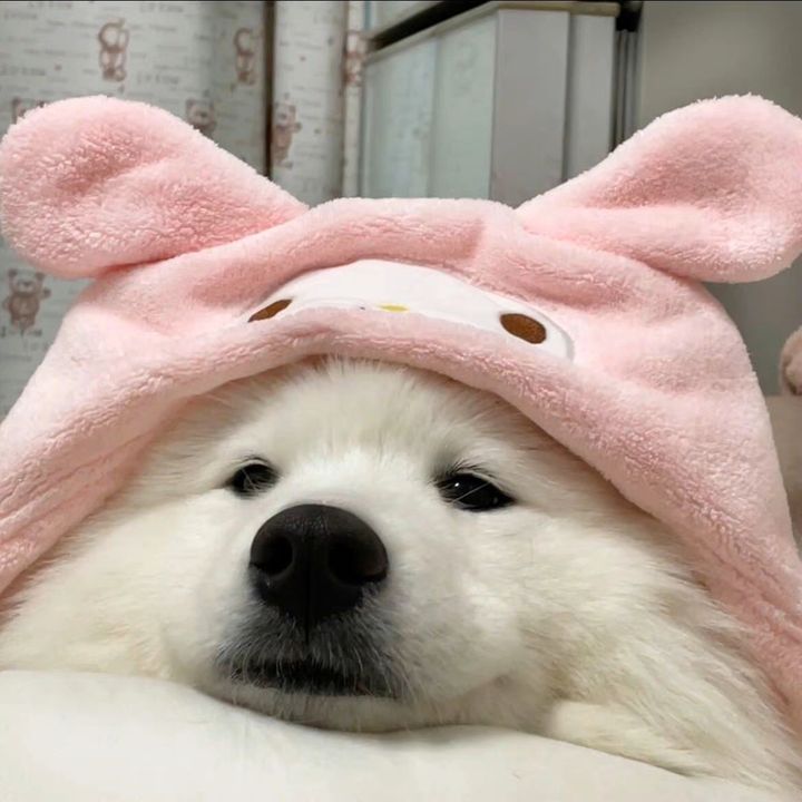 gqxkp1