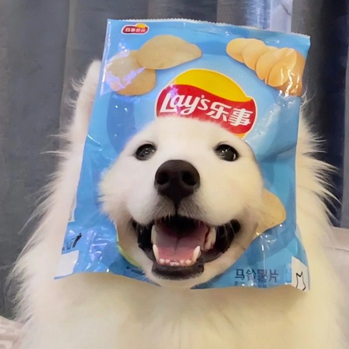 pobqo3
