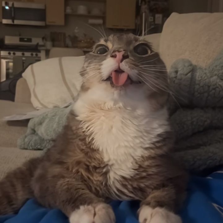 Mui